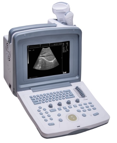 Wed- 9618V  Wed 9618  Wed 9618V