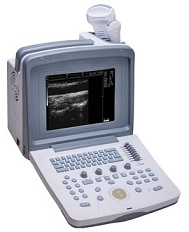 Wed 9618V Wed-9618V  Wed 9618