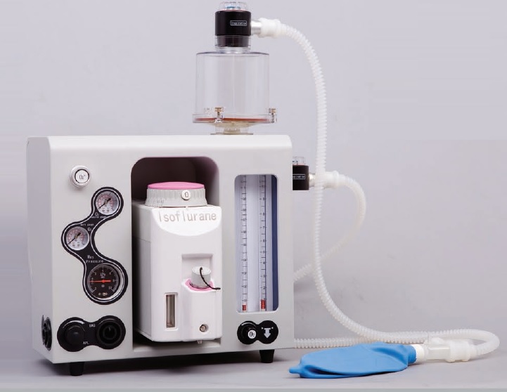 Vet Anesthesia Machine